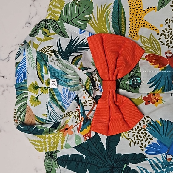 Baby Boy Short Set - Picture 3 of 6